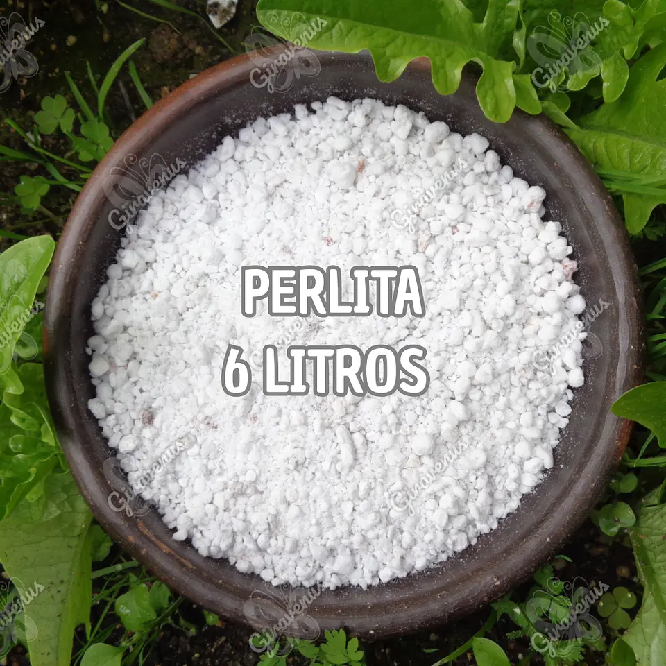 Perlita 6 Litros - Mejorador de Suelos 1