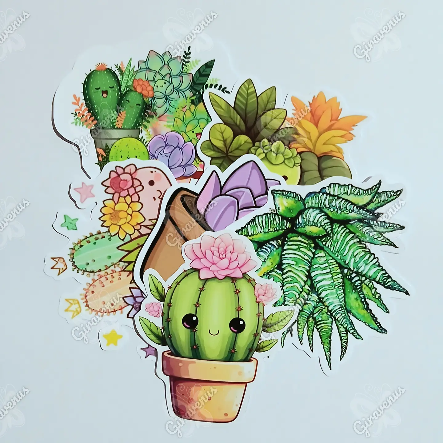 Stickers Cactus I - 6 Unidades  1
