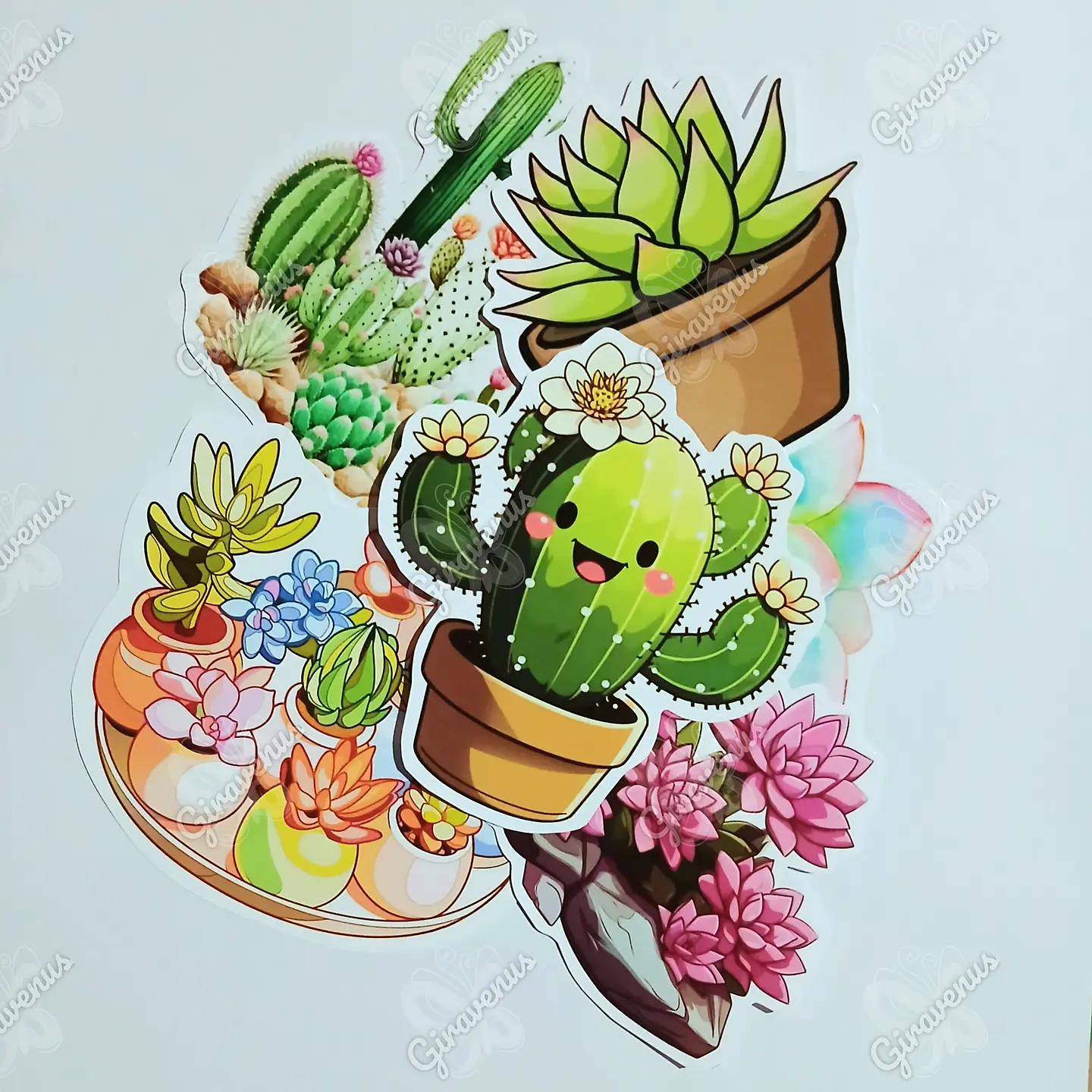 Stickers Cactus II - 6 Unidades  1