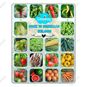 Pack 18 Semillas Primavera / Verano - Ofertas de Temporada