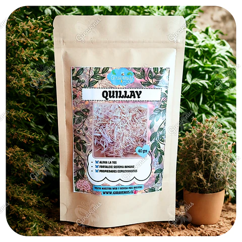 Quillay 40 Grs - Hierbas Para Infusión