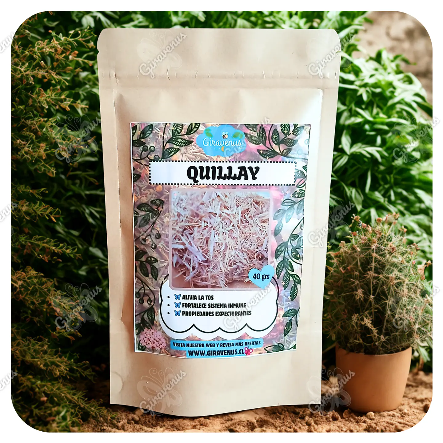 Quillay 40 Grs - Hierbas Para Infusión 1