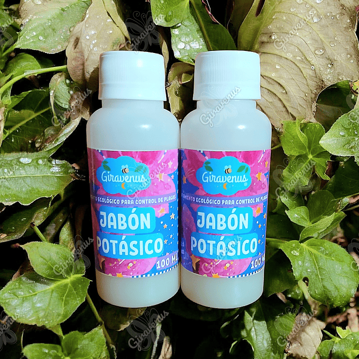 Pack 2 Jabón Pótasico de 100 ML - Manejo Agroecológico de Plagas 1