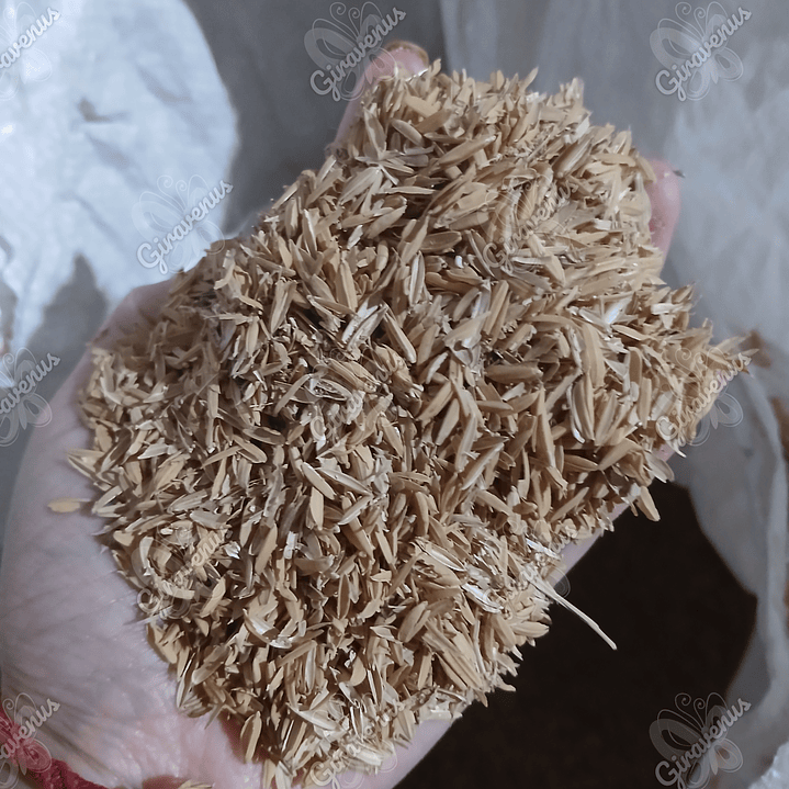 Cascarilla de Arroz - 3 Litros - Sustrato Para Huerto 1