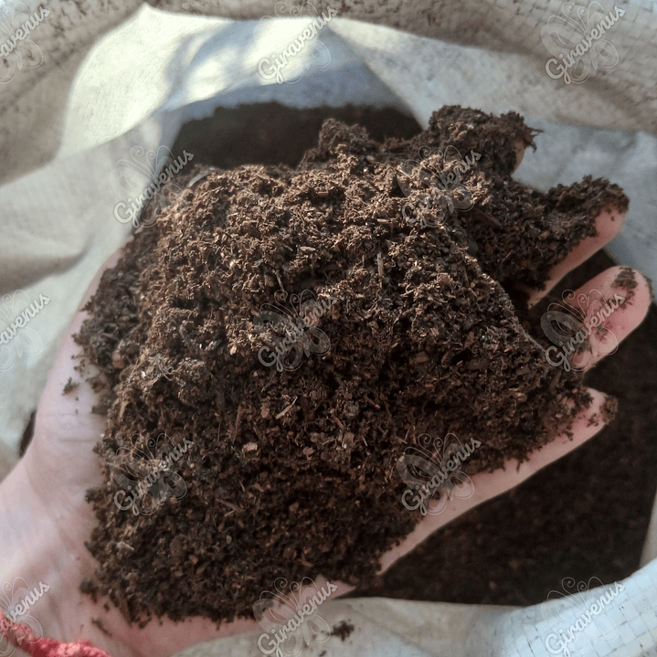 Tierra de Hojas - 5 Litros - Sustrato Para Huerto 1