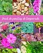 Pack de Semillas de Temporada - Semillas Agroecológicas - Miniatura 1