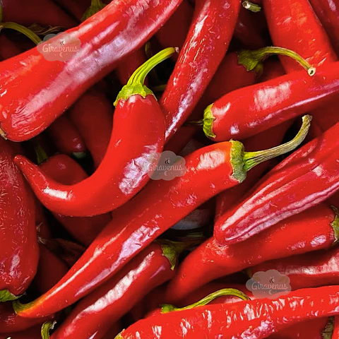 Semillas de Ají Rojo Cacho de Cabra