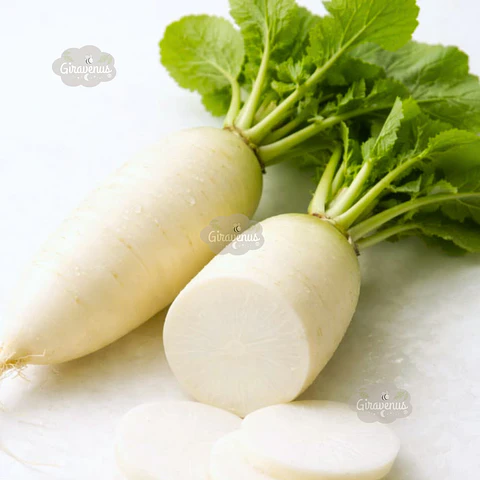 Semillas de Nabo Blanco Largo