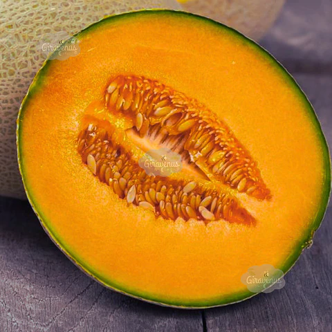 Semillas de Melón Calameño