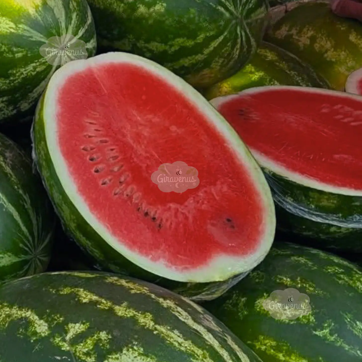 Semillas de Sandía  1