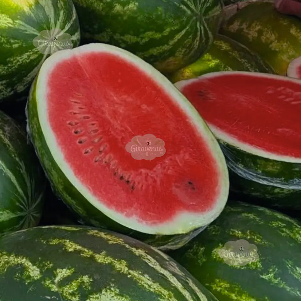 Semillas de Sandía  1