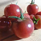 Semillas de Tomate Cherry Purple - Semillas Agroecológicas - Miniatura 2