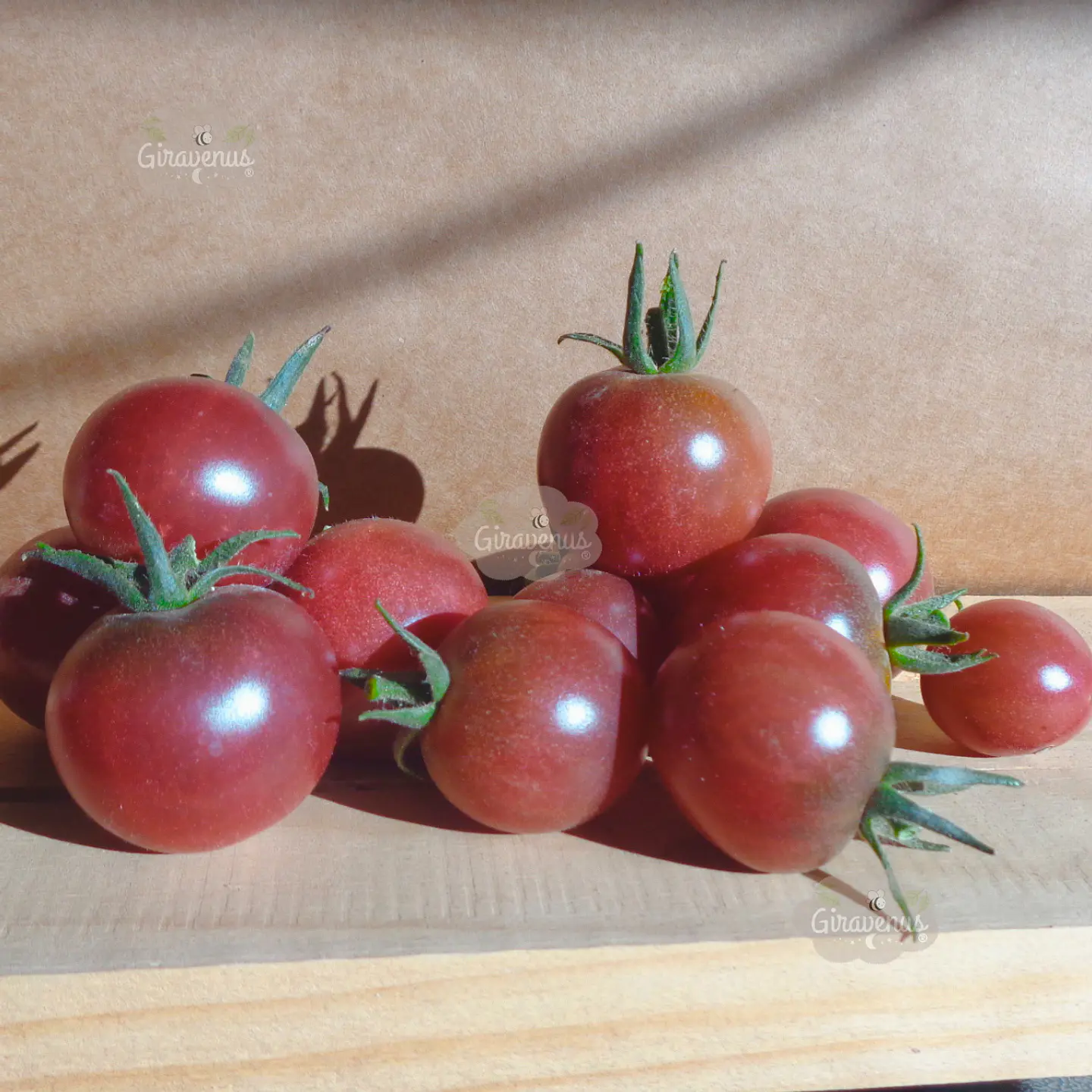 Semillas de Tomate Cherry Purple - Semillas Agroecológicas 3