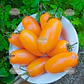 Semillas de Tomate Midas Naranjo - Miniatura 2