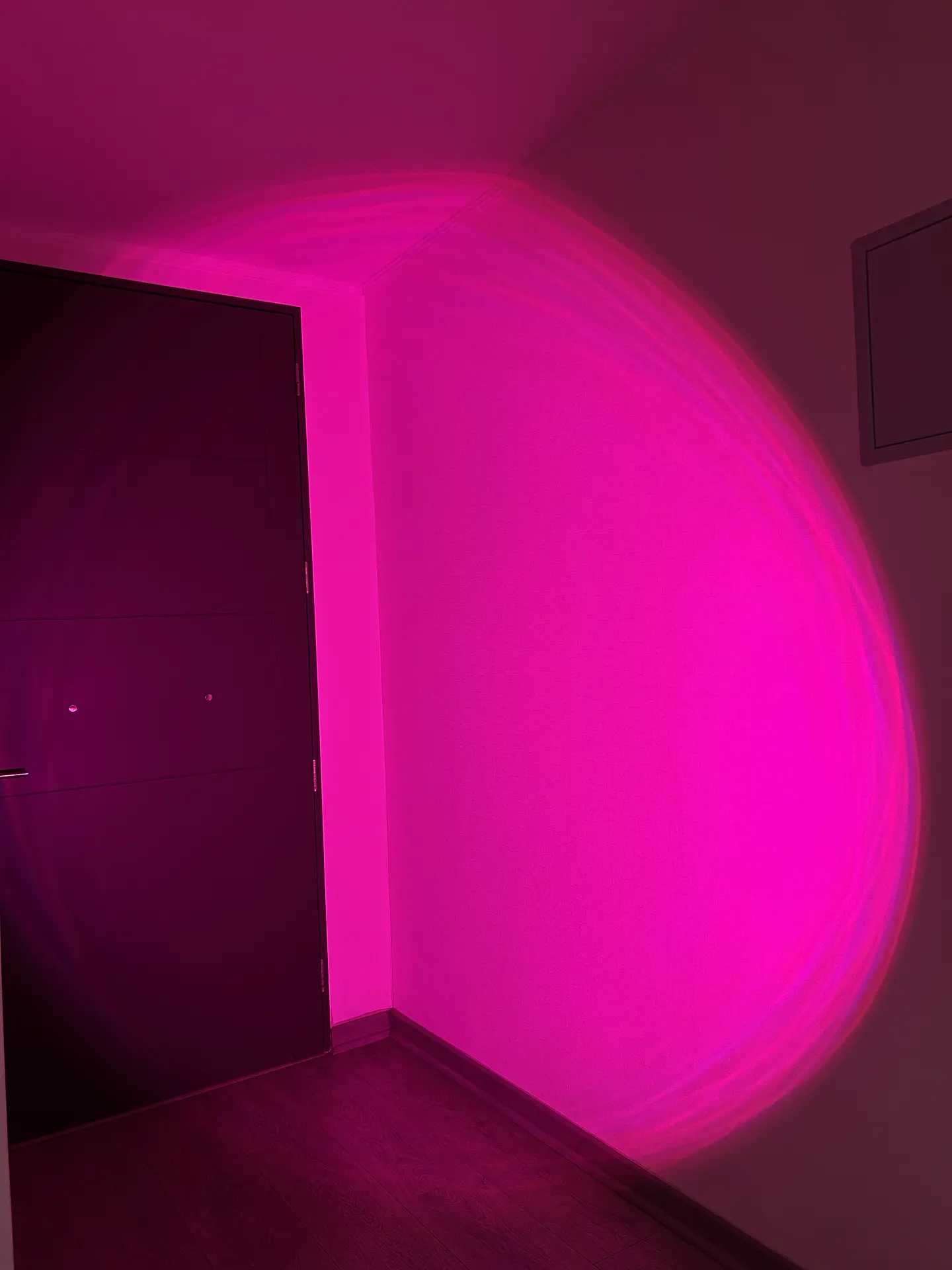 🌈SPOTLIGHT -  RGB  PARA ESTUDIOS Y CREACIÓN DE CONTENIDO  10