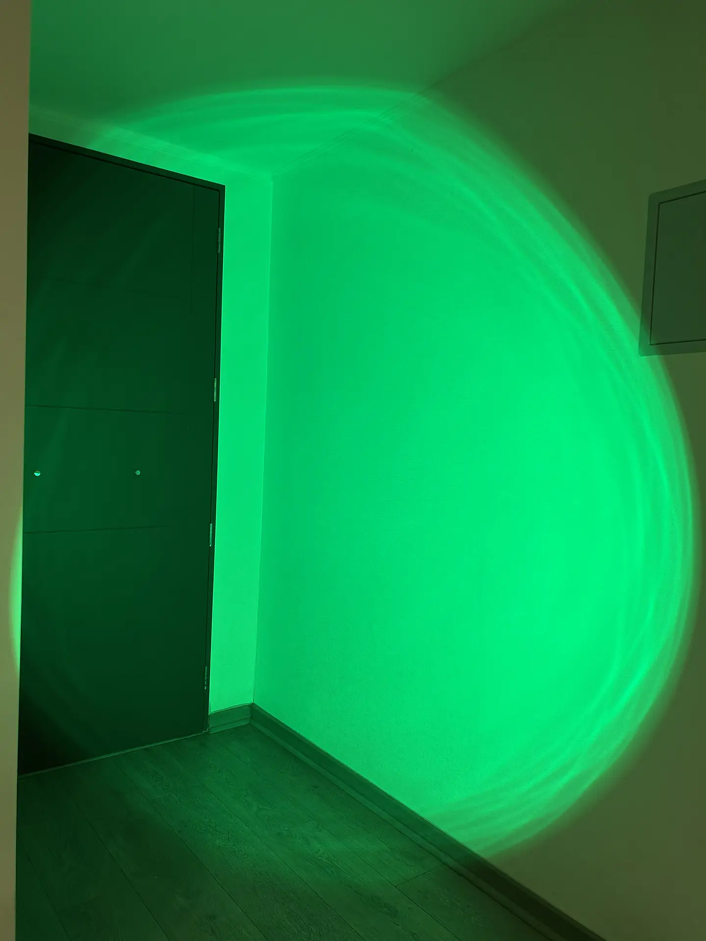 🌈SPOTLIGHT -  RGB  PARA ESTUDIOS Y CREACIÓN DE CONTENIDO  12