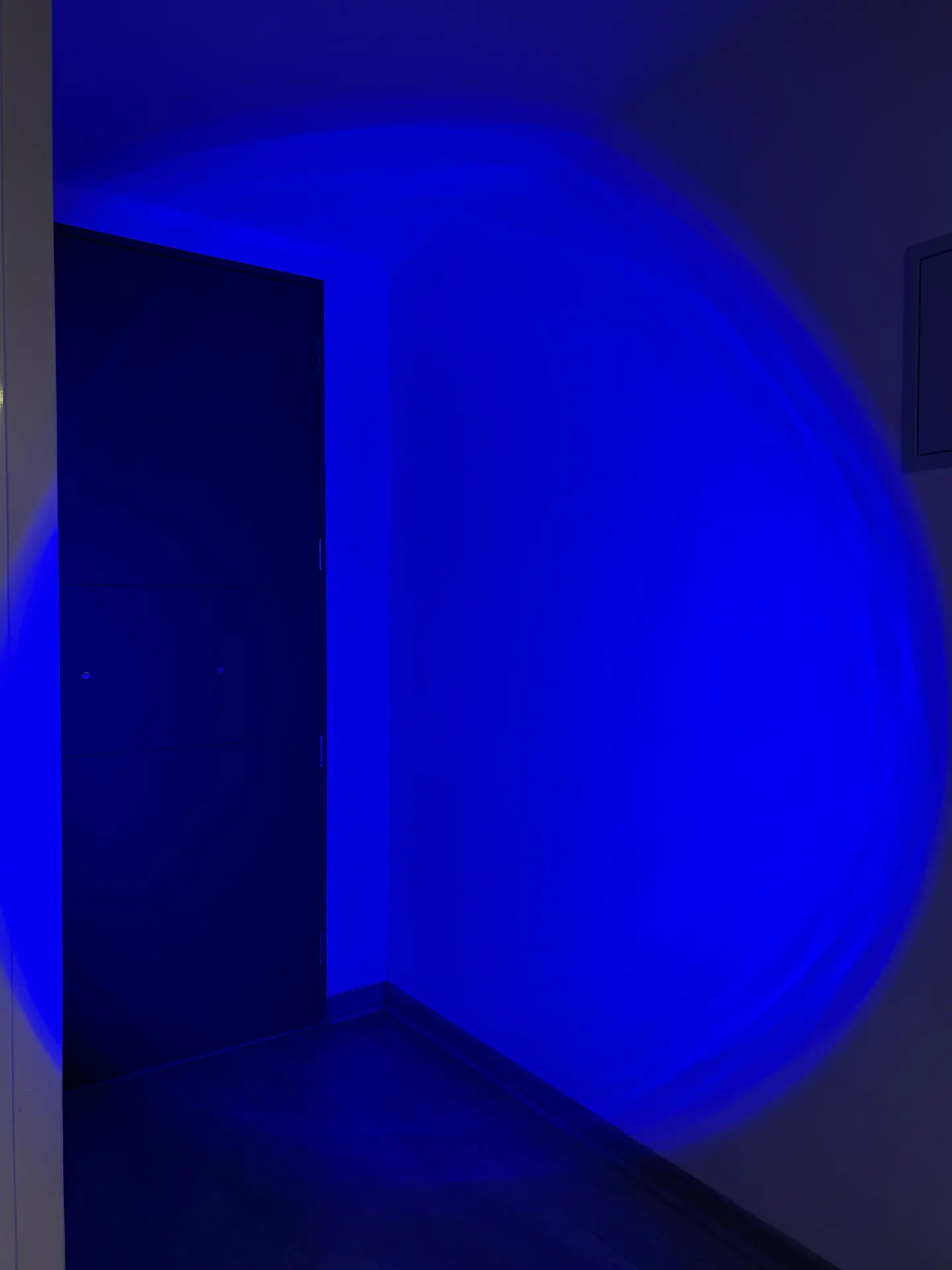 🌈SPOTLIGHT -  RGB  PARA ESTUDIOS Y CREACIÓN DE CONTENIDO  14