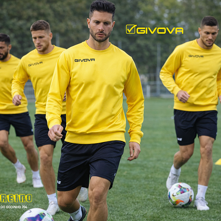 Sweat GIVOVA ONE 1