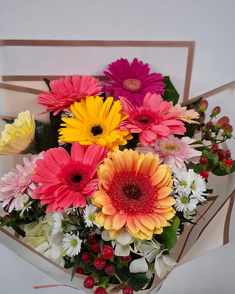 Alegría de Gerberas Coloridas | RAM-064