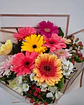 Alegría de Gerberas Coloridas | RAM-064 - Miniatura 2