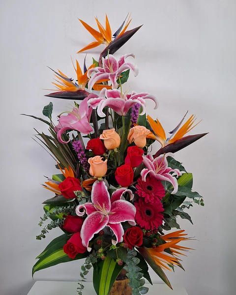 Elegancia Tropical con Lirios | BCG-044