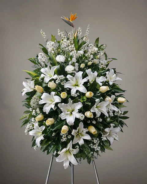 Cenit de Lirios Blancos | TRI-049