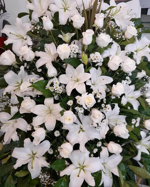 Eterna Luz de Lirios Blancos | TRI-087