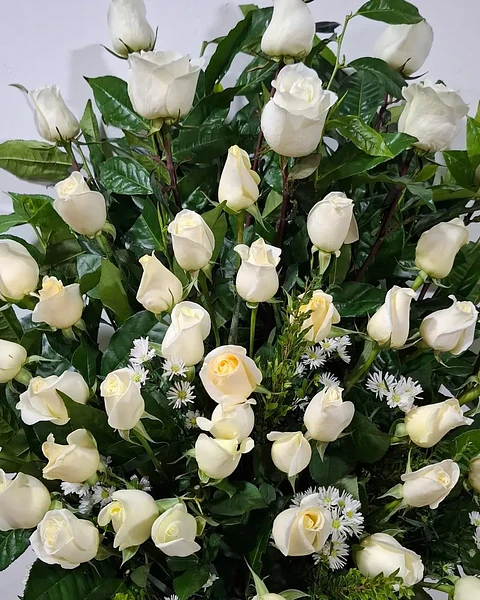 Serenidad de Rosas Blancas | ACO-013