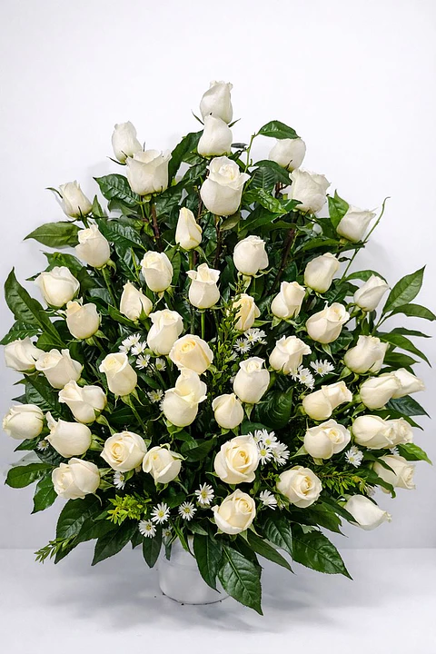 Serenidad de Rosas Blancas | ACO-013