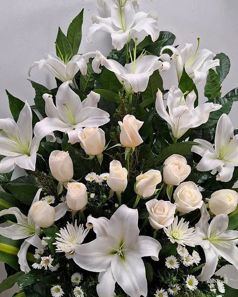 Consuelo Blanco de Lirios Blancos | ACO-001