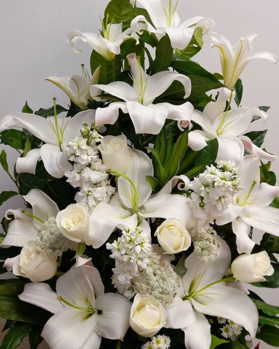 Catedral Blanca de Lirios Blancos | ACO-005 2
