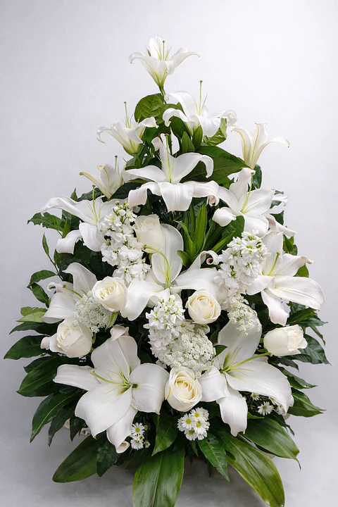 Catedral Blanca de Lirios Blancos | ACO-005