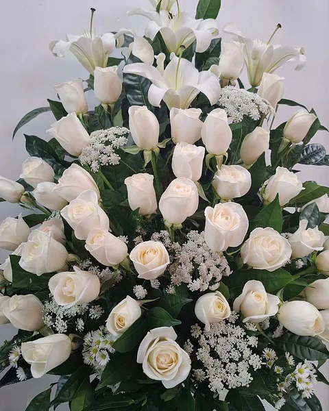 Blanco Silencio de Lirios Blancos | ACO-007