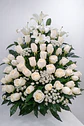 Blanco Silencio de Lirios Blancos | ACO-007 - Miniatura 1
