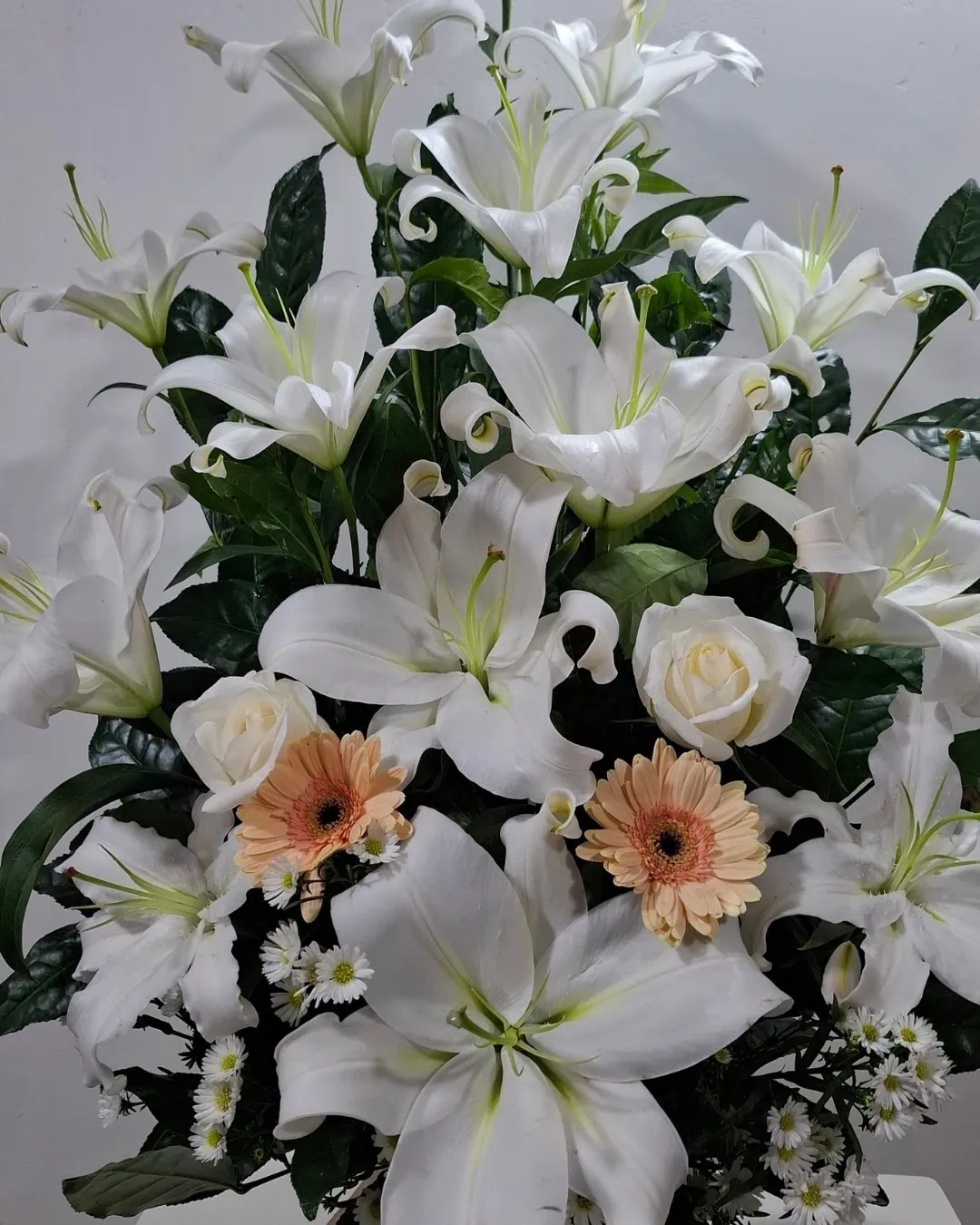 Luz Serena de Lirios Blancos | ACO-009 2