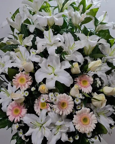 Bruma Rosada de Lirios Blancos | ACO-010