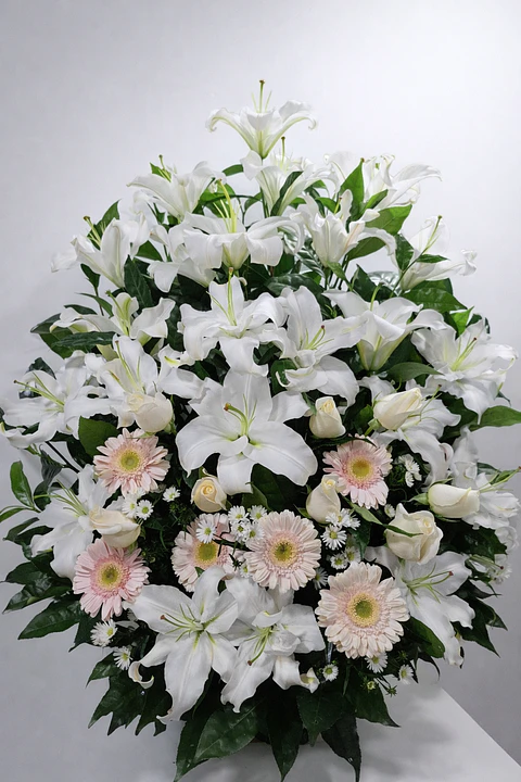 Bruma Rosada de Lirios Blancos | ACO-010