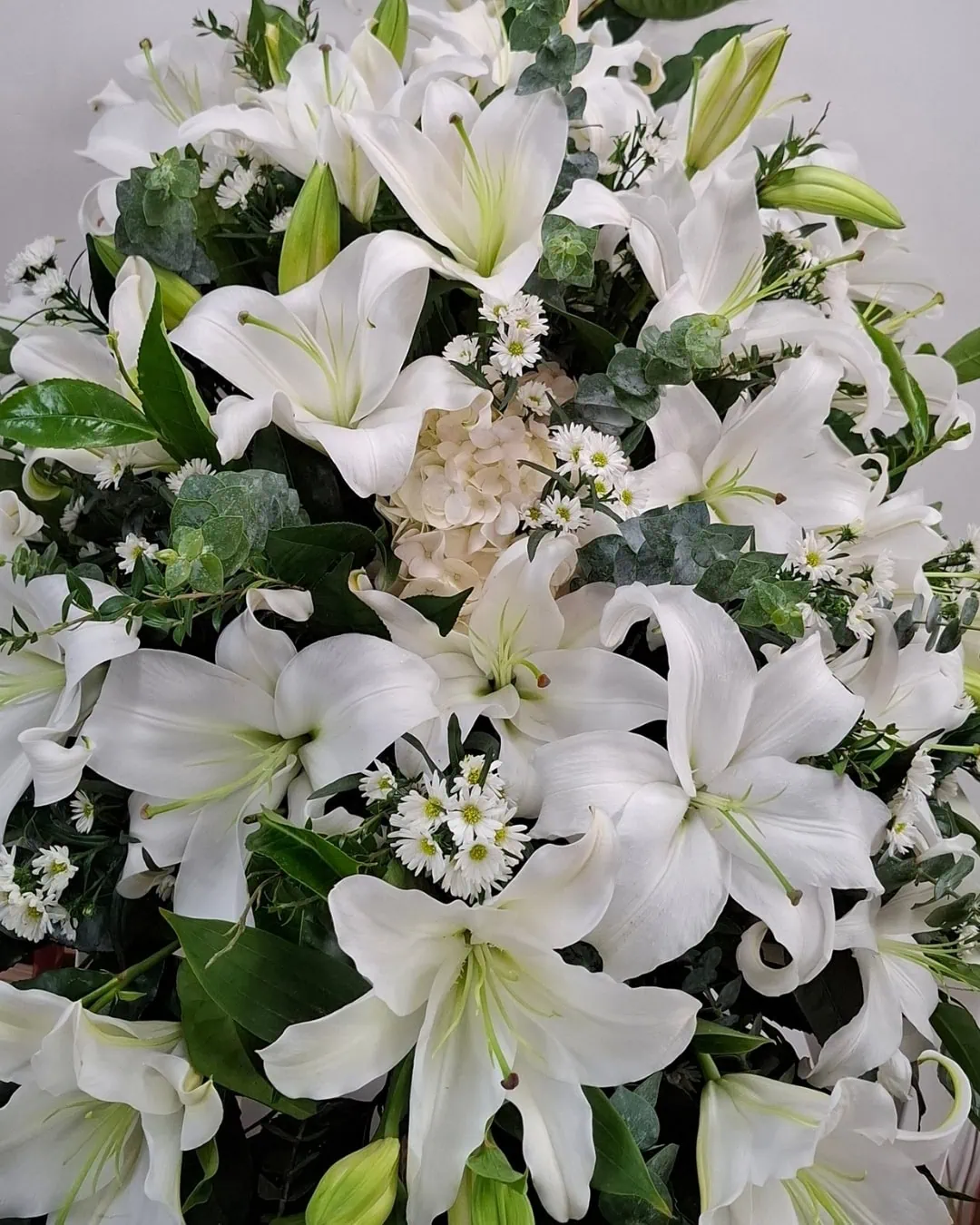 Blanca Serenidad de Lirios Blancos | LAG-047 2