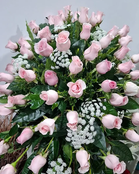 Perla de Rosas Rosadas | LAG-014