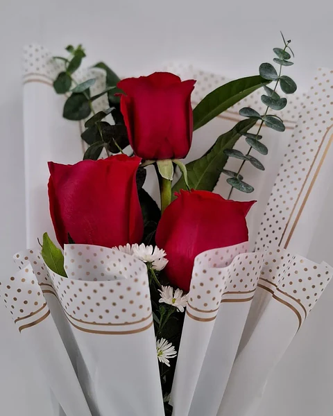 Trío Rubí con Rosas Rojas | RAM-066