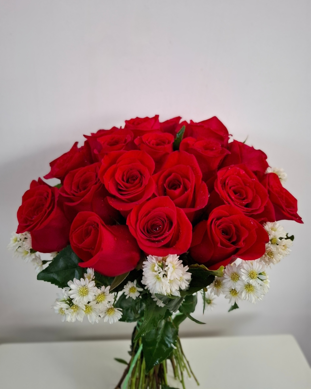 Carmesí con Rosas Rojas | PRS-946 1