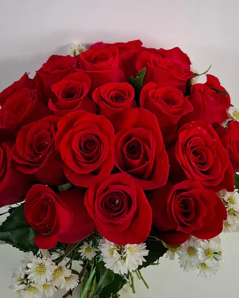 Carmesí con Rosas Rojas | PRS-946
