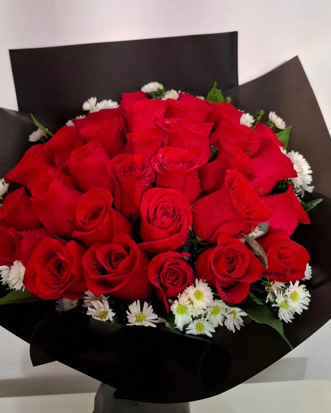 Nocturna con Rosas Rojas | PRS-939 2
