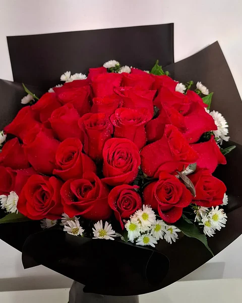 Nocturna con Rosas Rojas | PRS-939