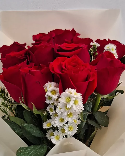 Aurora con Rosas Rojas | PRS-926
