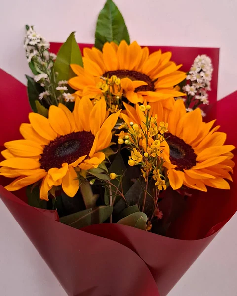 Solaris Alegre con Girasoles | PRS-889