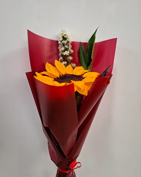 Brava Minimalista con Flores | PRS-887