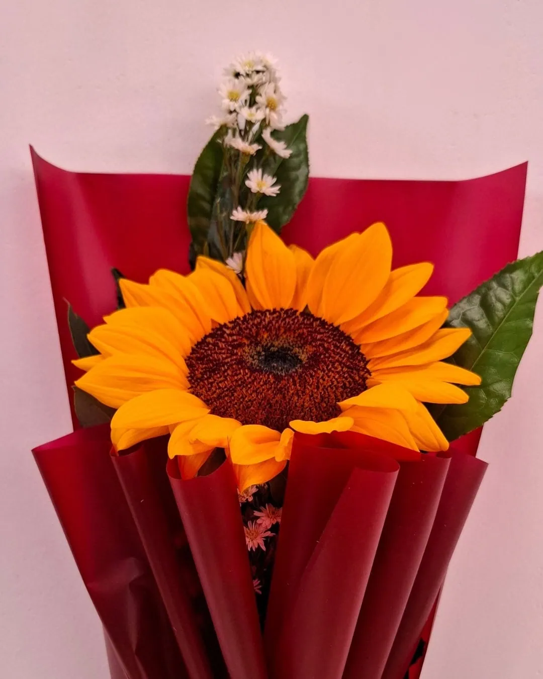 Brava Minimalista con Flores | PRS-887 2