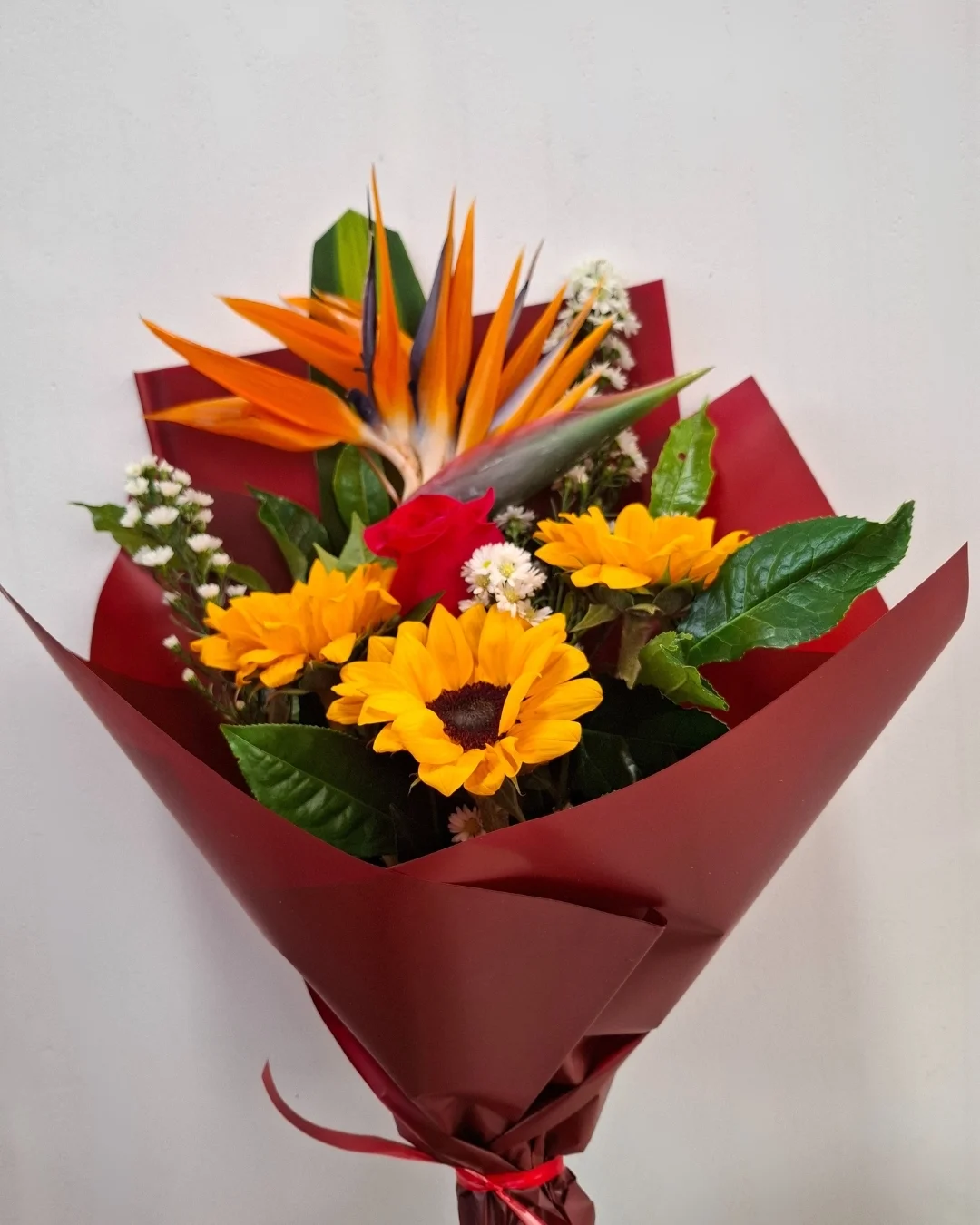 Fuego Tropical con Aves Paraíso | PRS-852 1