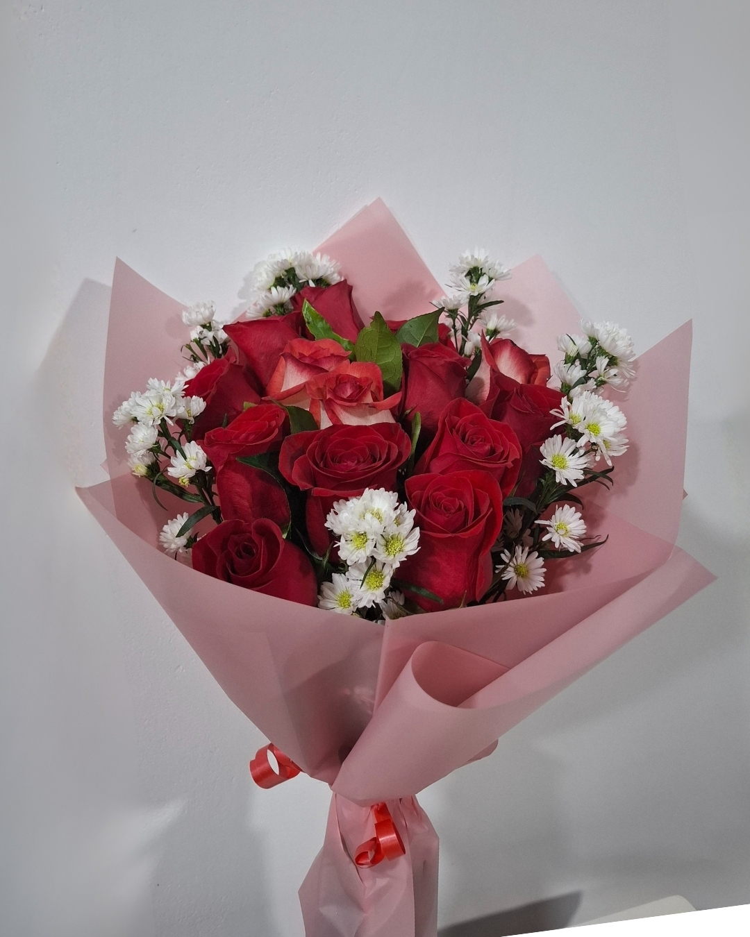 Aurora con Rosas Rojas | PRS-966 1